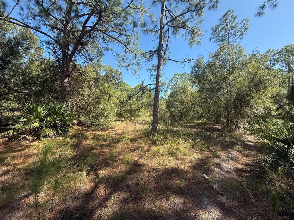 На продажу: $78,500 (2.50 acres)