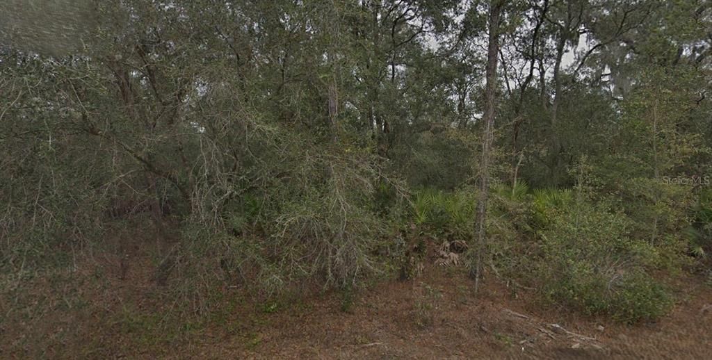 最近售出: $9,000 (0.48 acres)