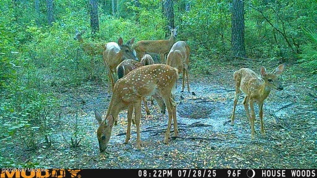 На продажу: $449,900 (3 спален, 2 ванн, 2237 Квадратных фут)