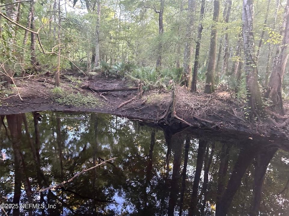 На продажу: $449,900 (3 спален, 2 ванн, 2237 Квадратных фут)