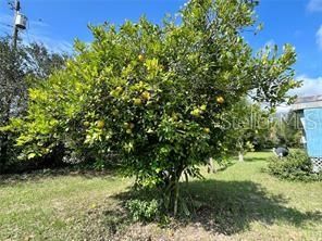 For Sale: $290,000 (7 beds, 4 baths, 2512 Square Feet)