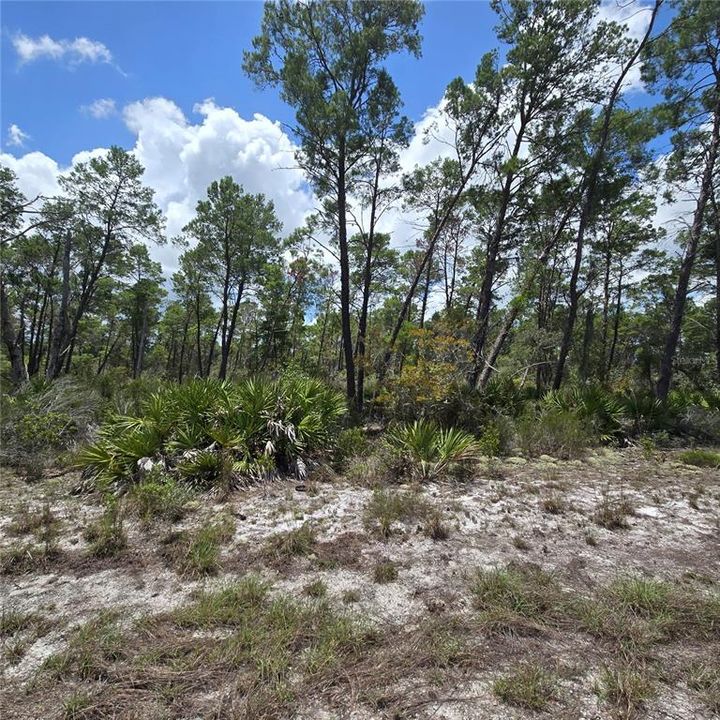 For Sale: $8,500 (0.23 acres)