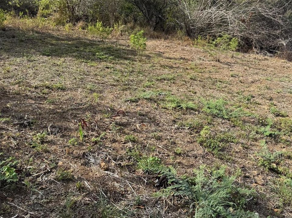 待售: $325,000 (0.68 acres)