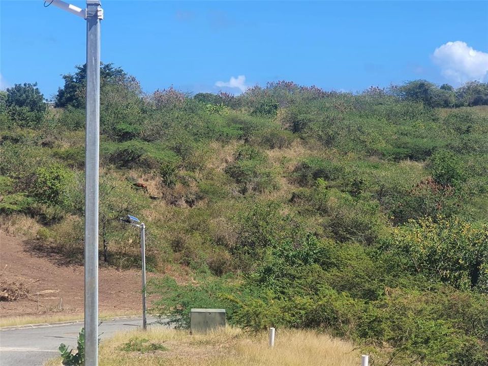 待售: $325,000 (0.68 acres)