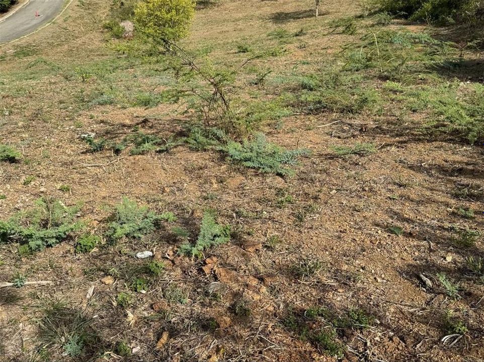 待售: $325,000 (0.68 acres)