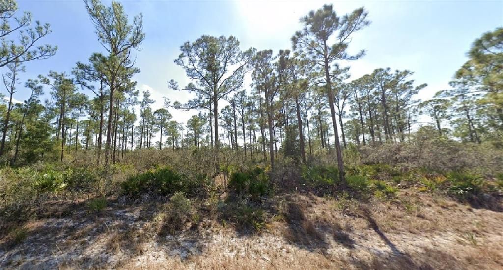 For Sale: $10,000 (0.23 acres)