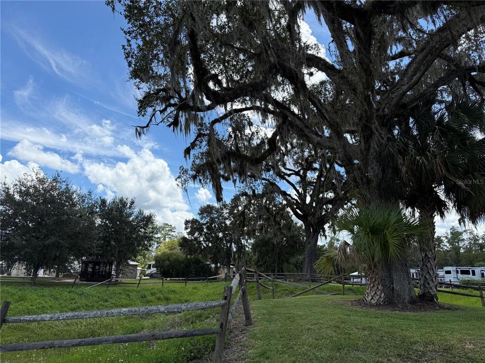 For Sale: $95,000 (0.11 acres)