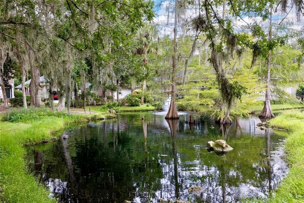 En Venta: $245,000 (2 camas, 2 baños, 1588 Pies cuadrados)