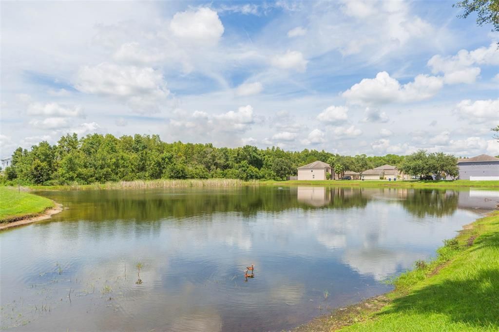 Active With Contract: $400,000 (3 beds, 2 baths, 2222 Square Feet)