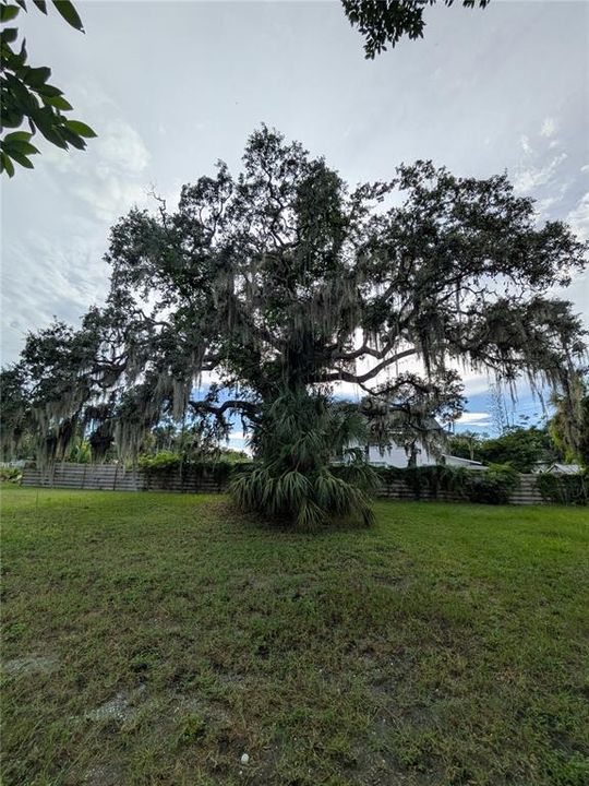 Activo con contrato: $130,000 (0.22 acres)