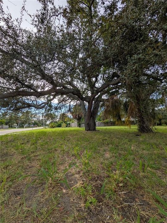 Activo con contrato: $130,000 (0.22 acres)