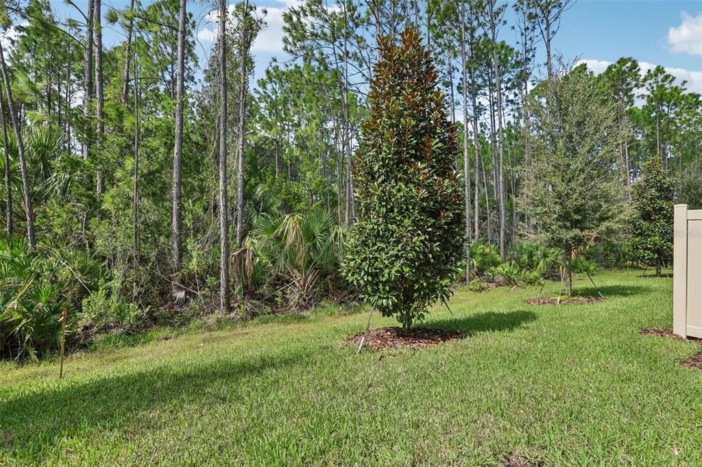 En Venta: $286,530 (3 camas, 2 baños, 1566 Pies cuadrados)