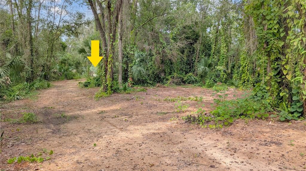 На продажу: $122,000 (1.03 acres)