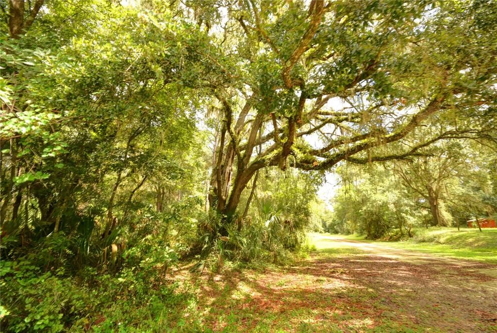 En Venta: $59,900 (1.00 acres)