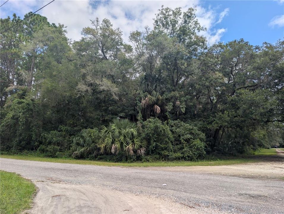 En Venta: $59,900 (1.00 acres)