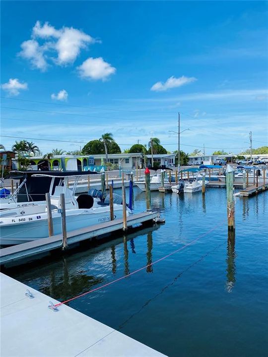 出租: $1,750 (3 贝兹, 2 浴室, 980 平方英尺)