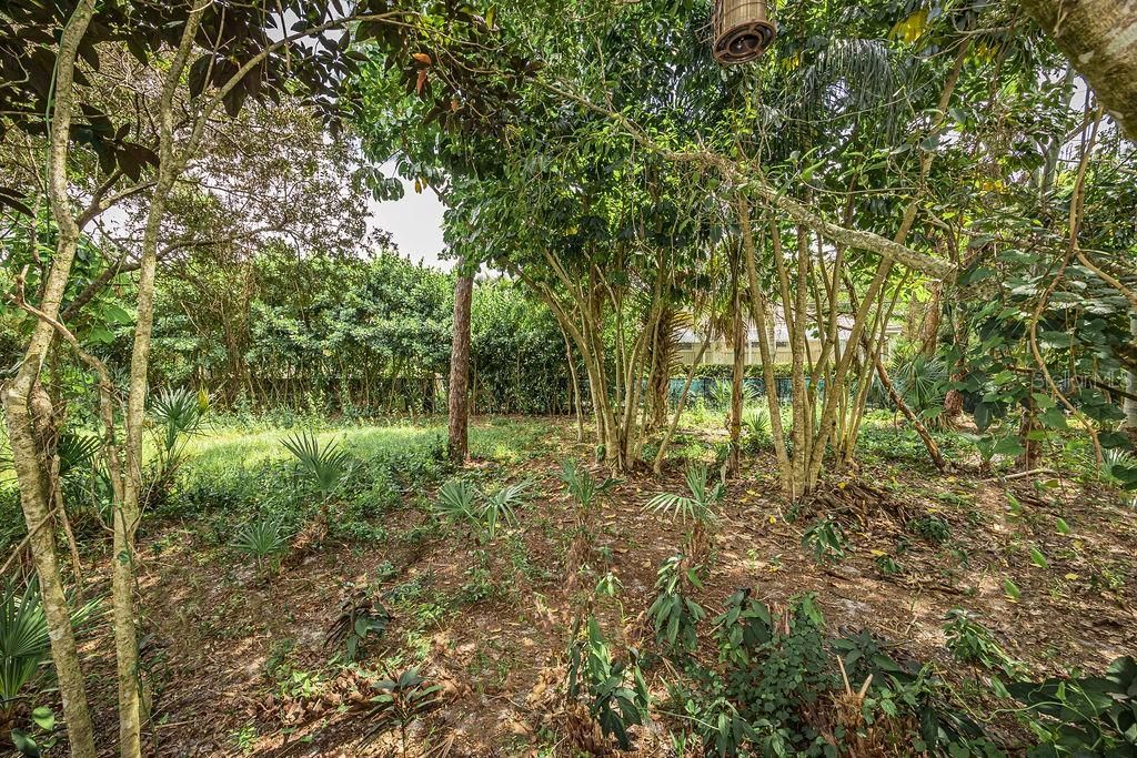 Под контрактом: $525,000 (3 спален, 2 ванн, 1805 Квадратных фут)