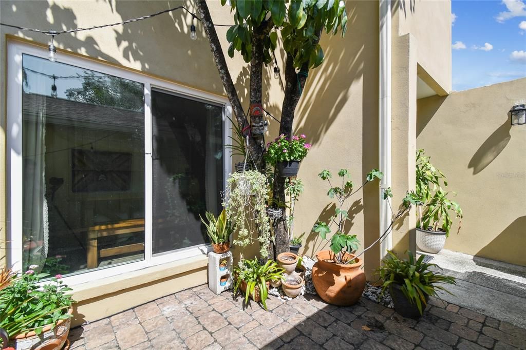 Под контрактом: $3,900 (2 спален, 2 ванн, 1344 Квадратных фут)