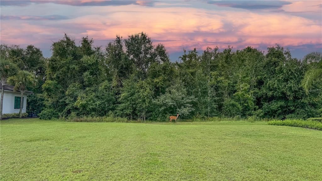 待售: $449,000 (0.23 acres)