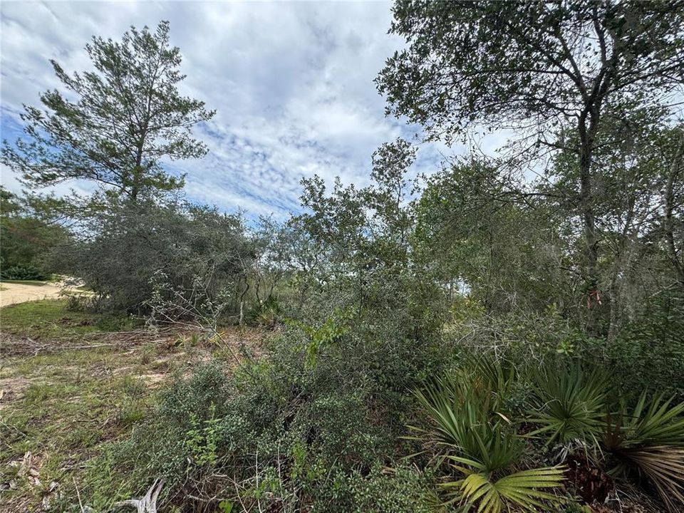 待售: $50,000 (0.42 acres)