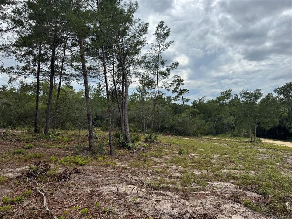 待售: $50,000 (0.42 acres)