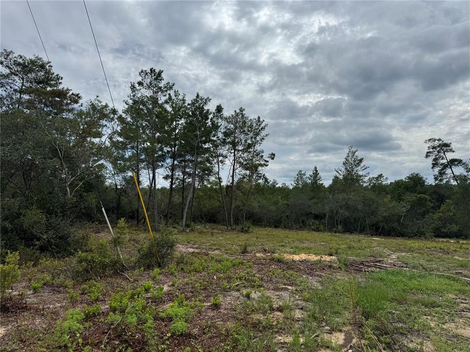 待售: $50,000 (0.42 acres)