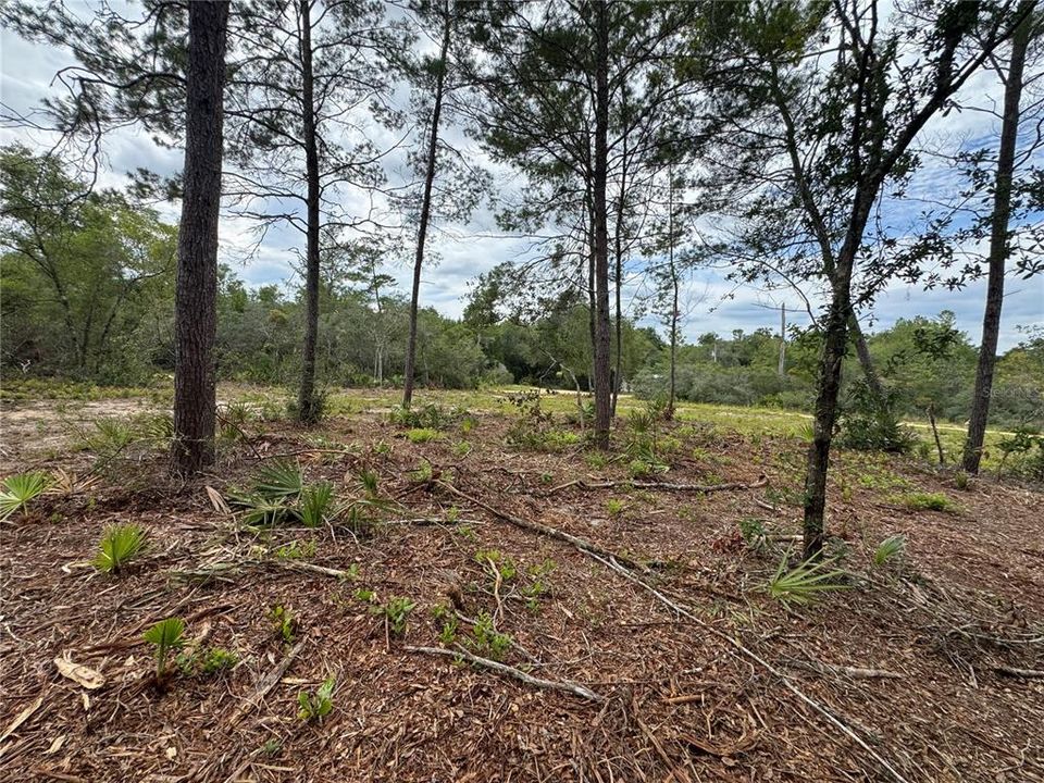 待售: $50,000 (0.42 acres)