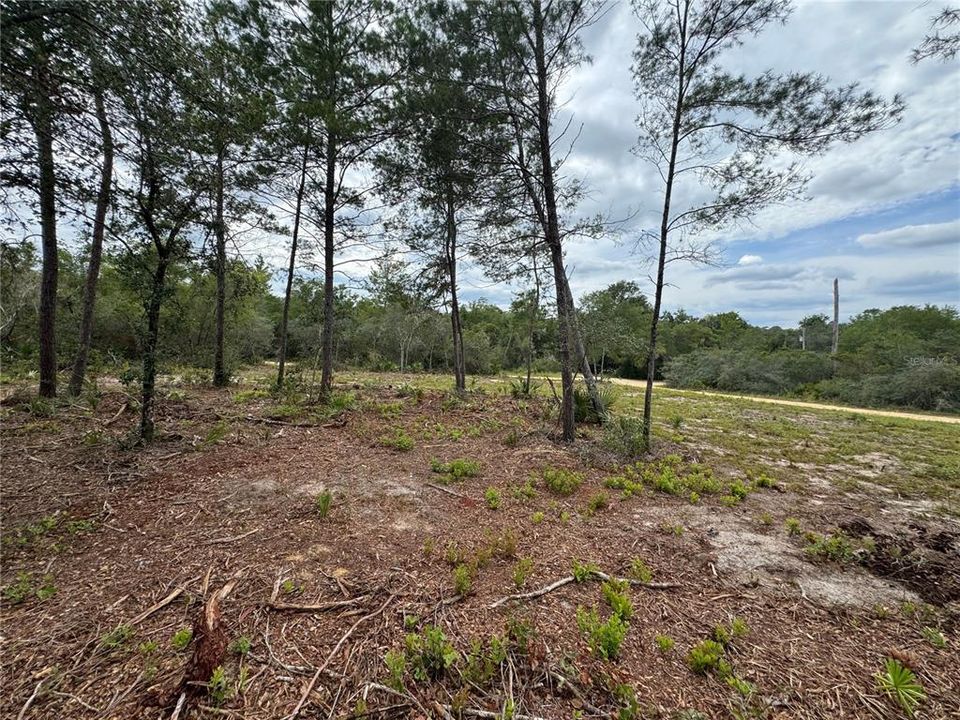 待售: $50,000 (0.42 acres)