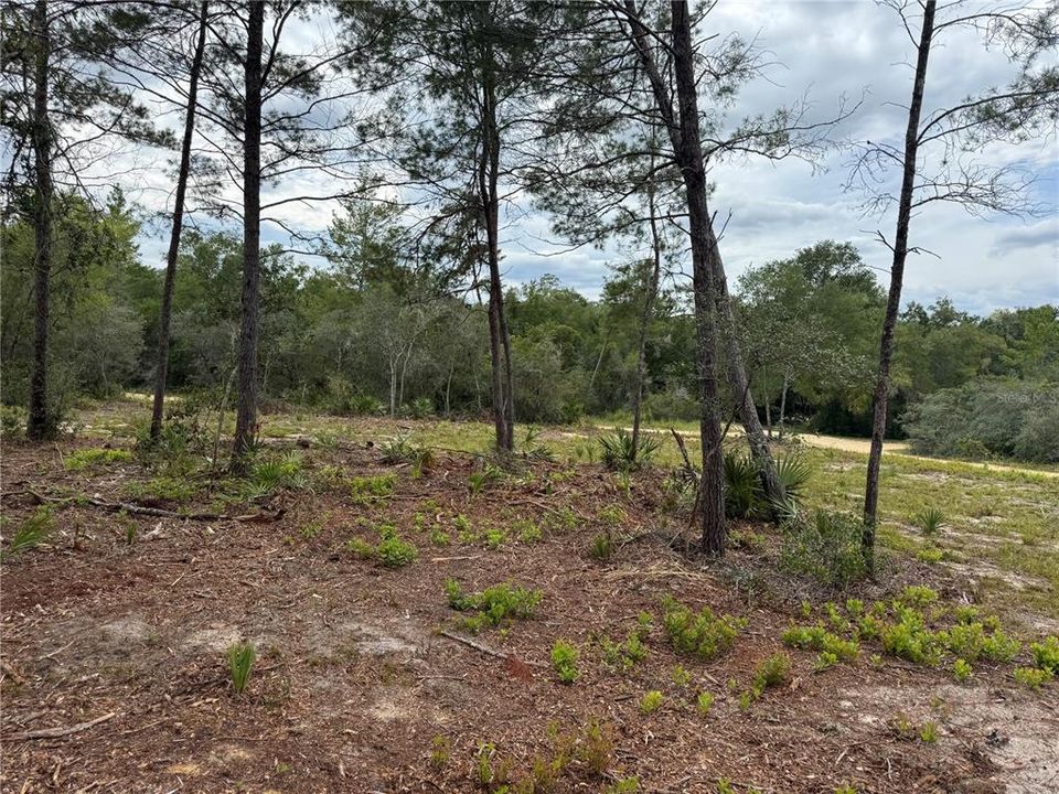 待售: $50,000 (0.42 acres)