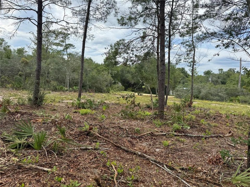 待售: $50,000 (0.42 acres)