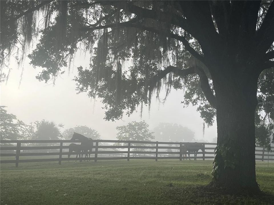 待售: $1,039,000 (4 贝兹, 2 浴室, 2593 平方英尺)