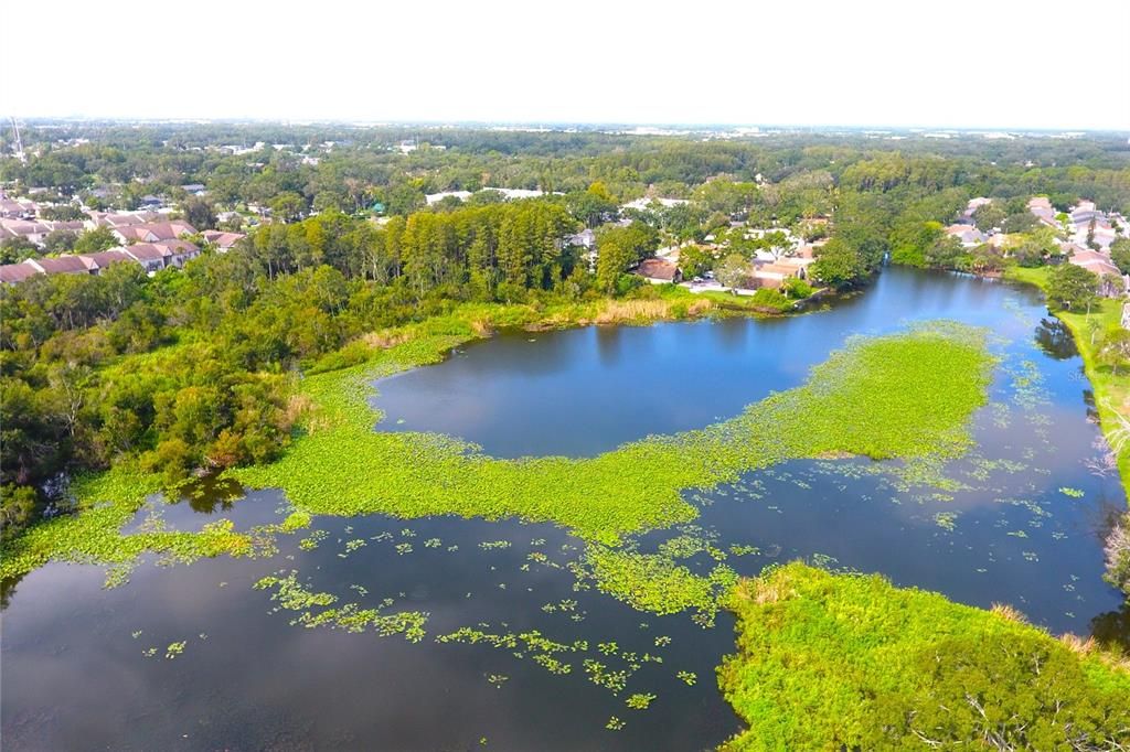 Active With Contract: $139,000 (2 beds, 1 baths, 726 Square Feet)