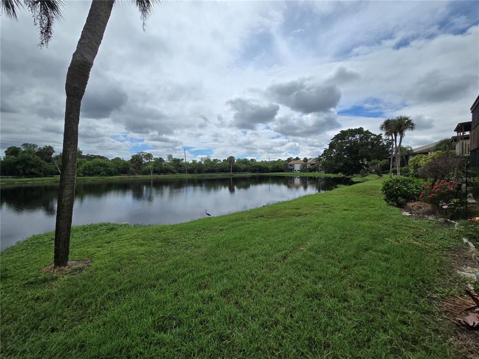 Active With Contract: $110,000 (1 beds, 1 baths, 735 Square Feet)