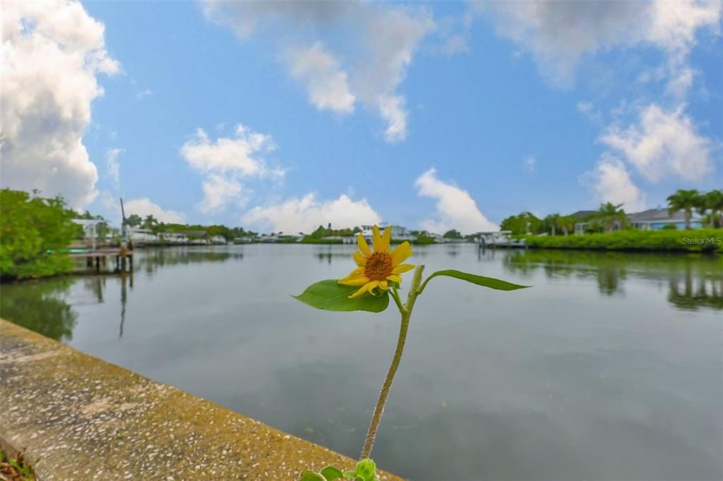 Activo con contrato: $2,600 (2 camas, 2 baños, 1296 Pies cuadrados)