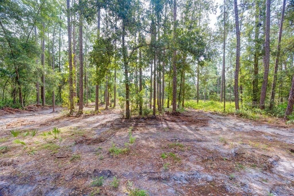 For Sale: $40,000 (0.55 acres)