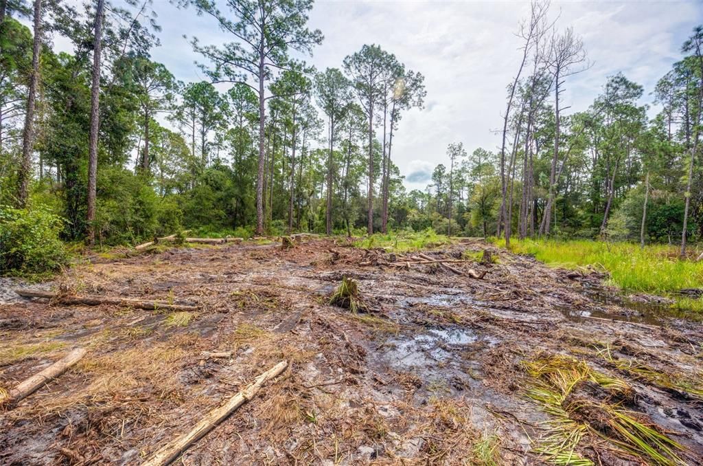 For Sale: $40,000 (0.55 acres)