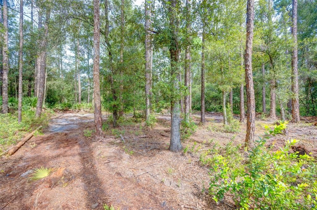 For Sale: $40,000 (0.55 acres)