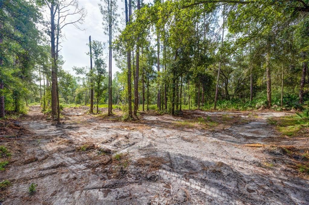 For Sale: $40,000 (0.55 acres)