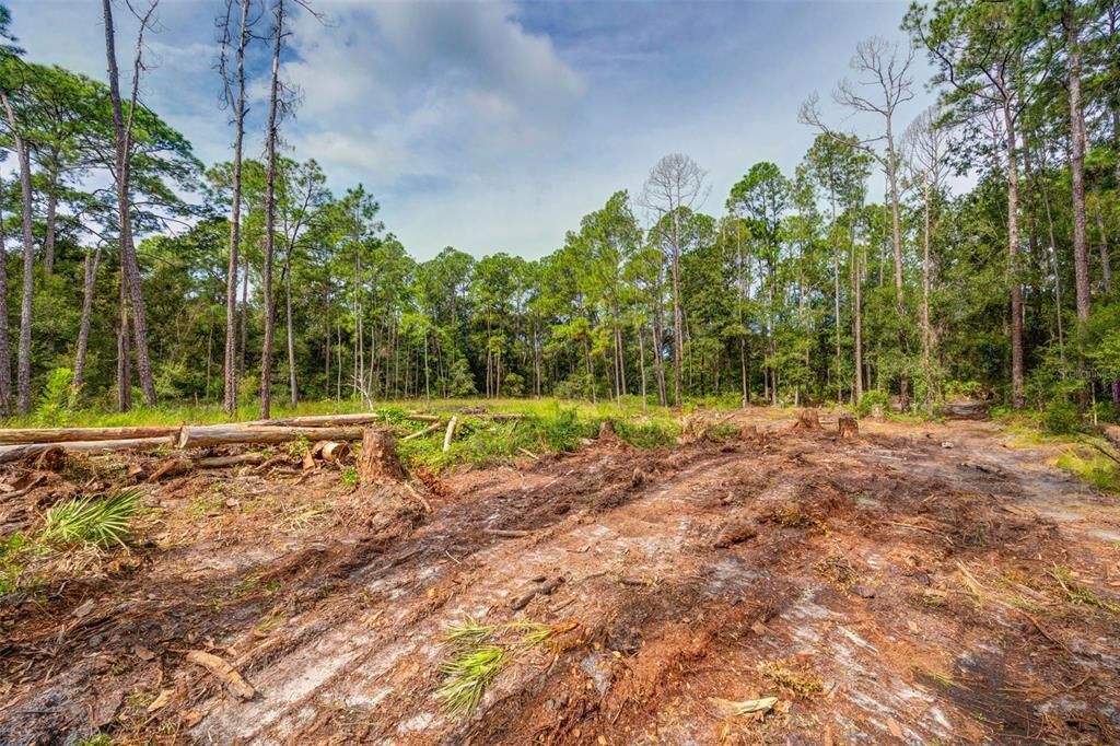 For Sale: $40,000 (0.55 acres)