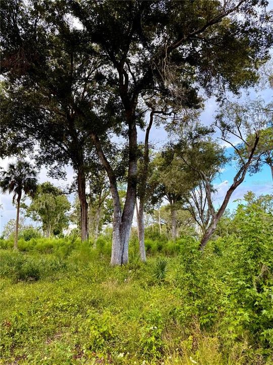 For Sale: $2,080,050 (59.43 acres)