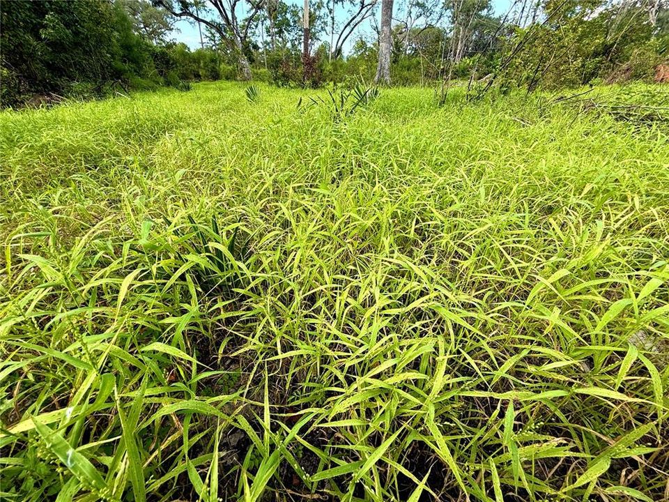 For Sale: $2,080,050 (59.43 acres)