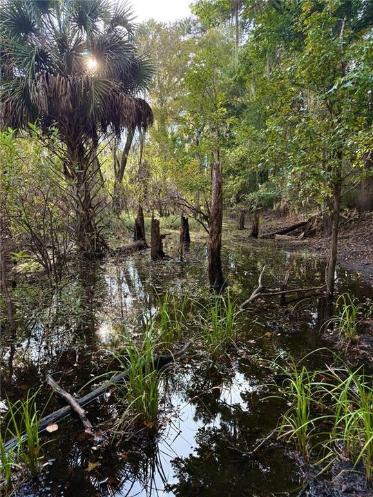 For Sale: $2,080,050 (59.43 acres)