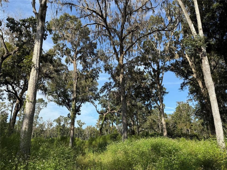 For Sale: $2,080,050 (59.43 acres)