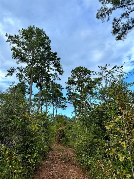 For Sale: $2,080,050 (59.43 acres)