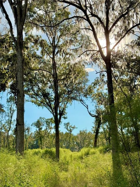 For Sale: $2,080,050 (59.43 acres)