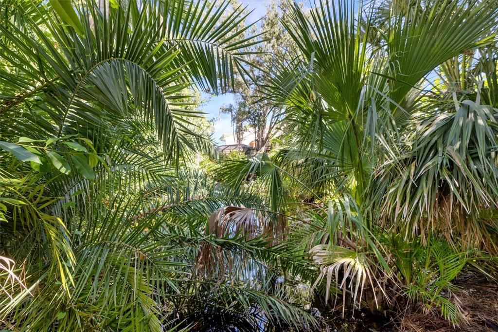 Activo con contrato: $545,000 (4 camas, 3 baños, 2688 Pies cuadrados)