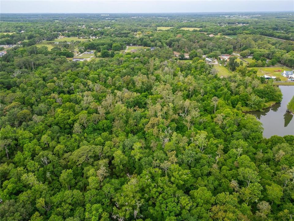 На продажу: $175,000 (4.95 acres)