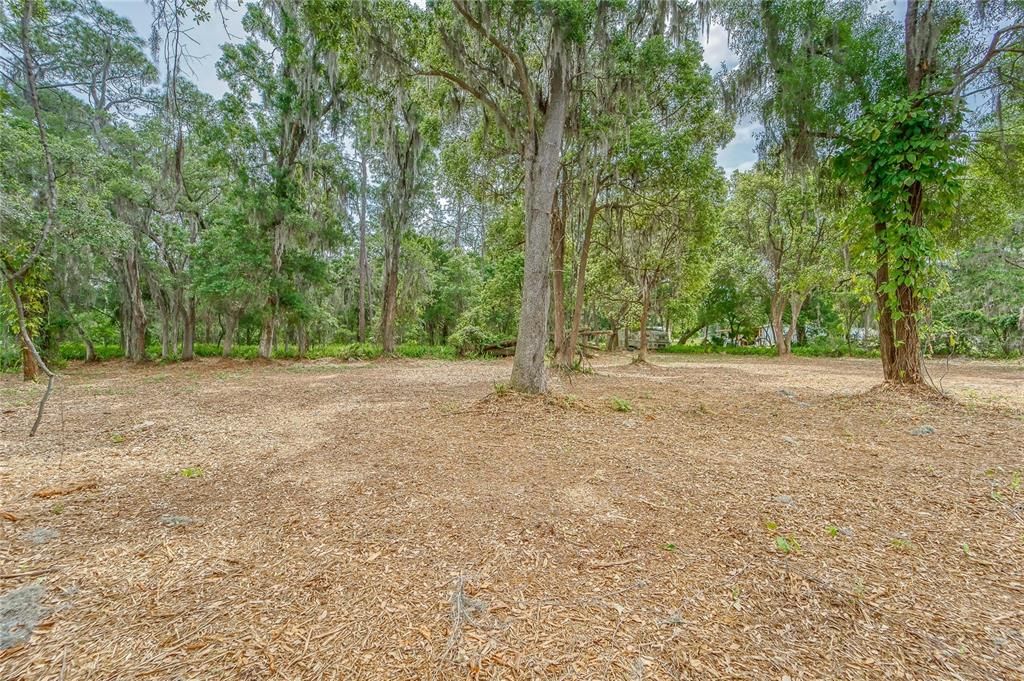 На продажу: $175,000 (4.95 acres)