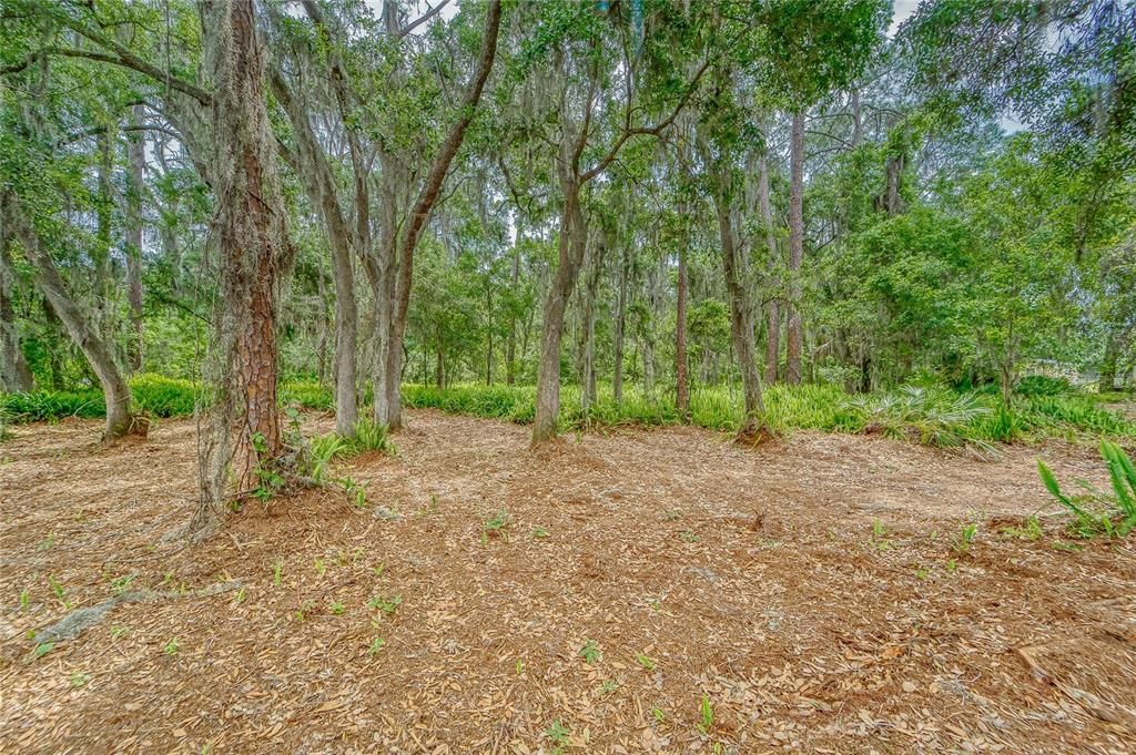 На продажу: $175,000 (4.95 acres)