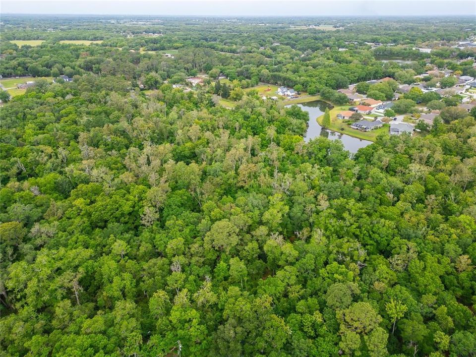 На продажу: $175,000 (4.95 acres)